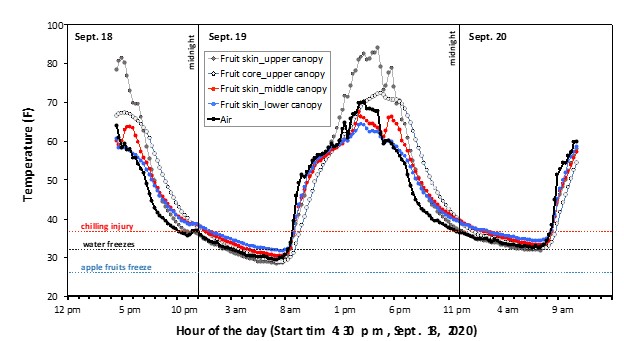 Graph of Honeycrisp fruit and air temperatures 