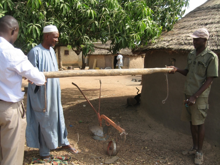 Traditional moldboard plow and yoke at Mr. Ly's farm