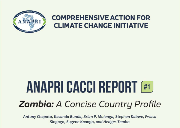 CACCI Report #1: A Concise Country Profile for Zambia