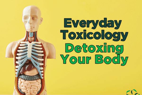 How to Detox Your Body? - PharmEasy Blog