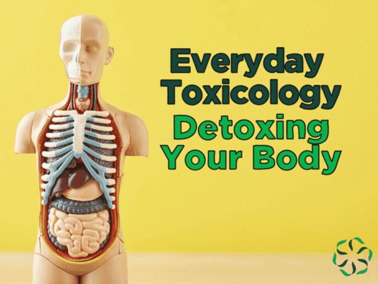 Everyday Toxicology – Digging Deeper, Detoxing Your Body - Center for  Research on Ingredient Safety