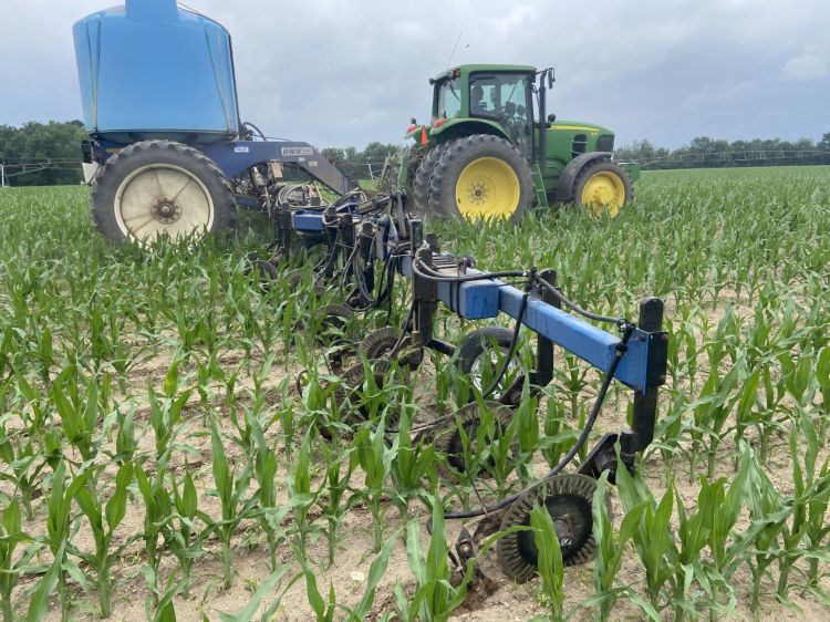 A tractor applying sidedress nitrogen to a corn field.