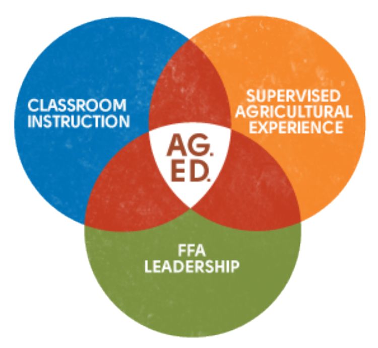 FFA Encourages Inclusion and Diversity in Agriculture - National
