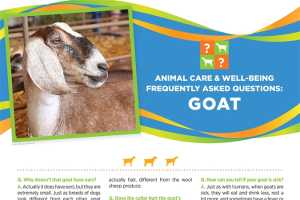 4-H Animal Care & Well-Being Poster – Goat 4H1700 - MSU Extension