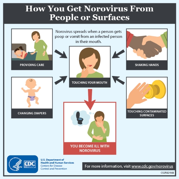 So you’ve got norovirus (the stomach flu), now what? MSU Extension