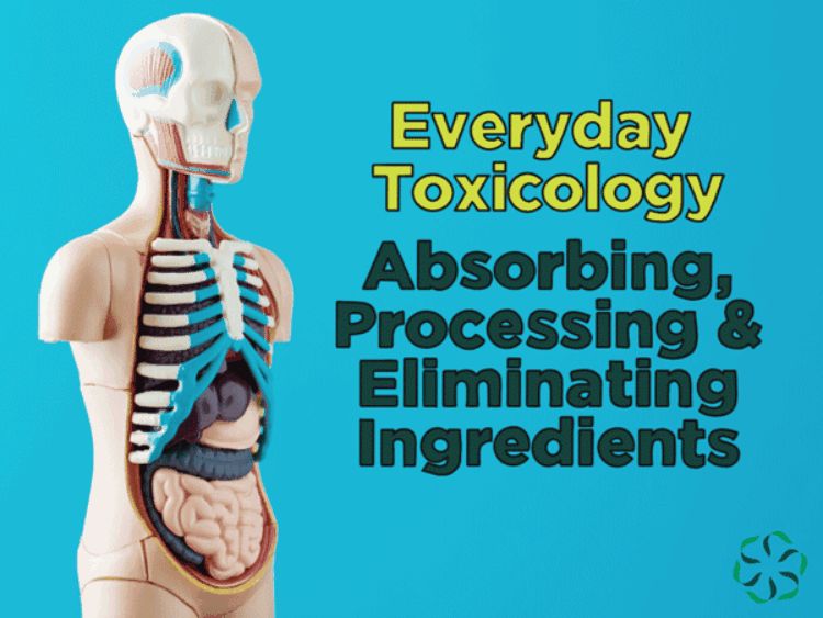 Just How Toxic Are All the Manmade Chemicals in Our Bodies?