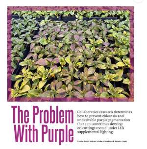 Graduate Student Charlie Smith's Research Featured in GrowerTalks Magazine