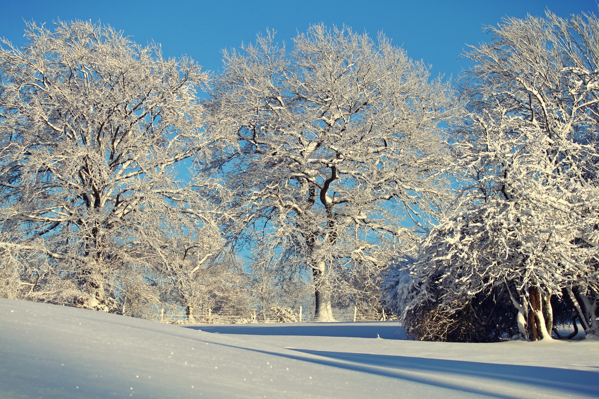 images of snow