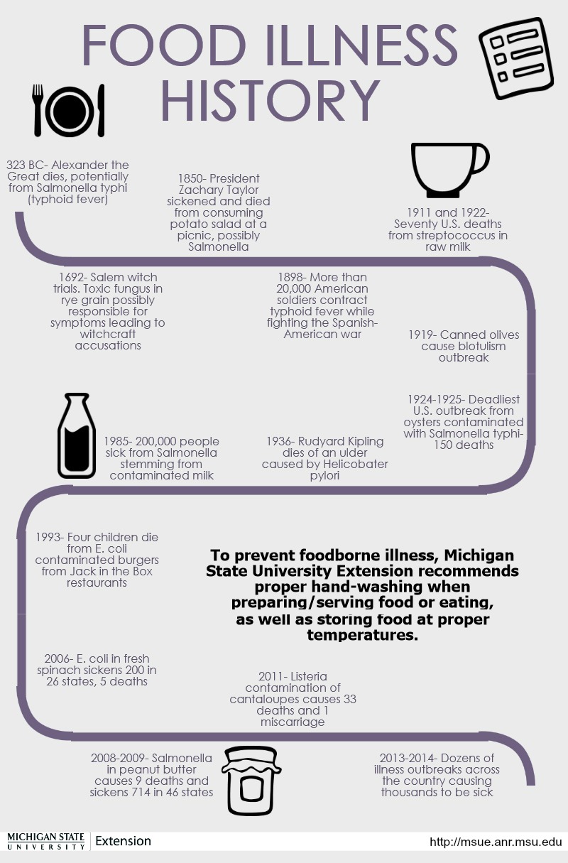 typhoid fever history timeline