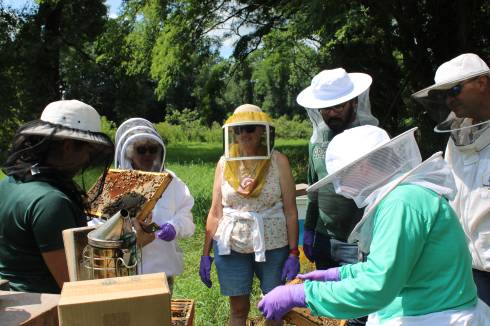 2023 Needs assessment of Michigan small-scale beekeepers