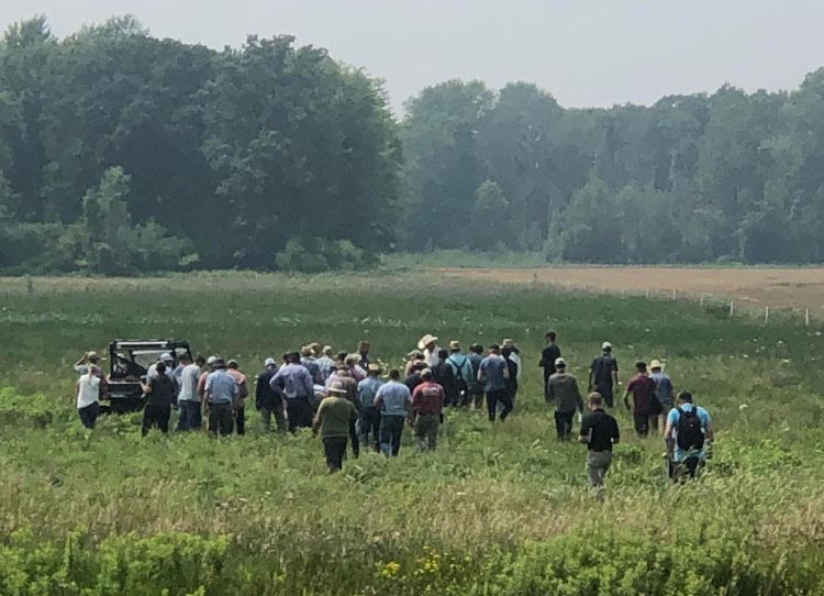 People standing in a crop field.