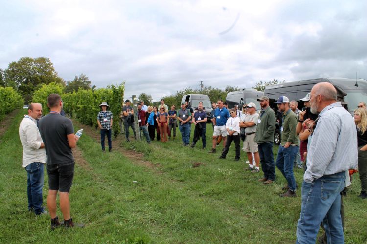 People standing in a grape vineyard listening to a presentation.