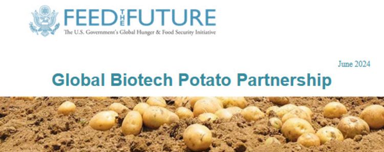 Global Biotech Potato Partnership, Feed the Future newsletter banner.