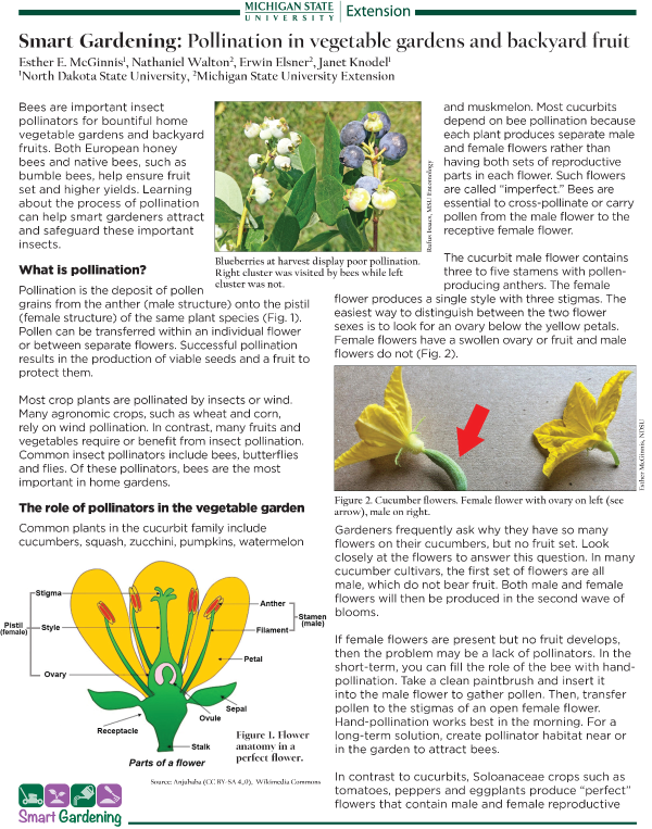 What is Pollination?