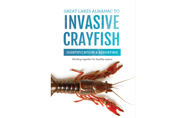 Cover of the Great Lakes Almanac to Invasive Crayfish featuring an image of a red swamp crayfish