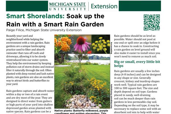 Updated app, new rules & soggy summer: time for a rain garden