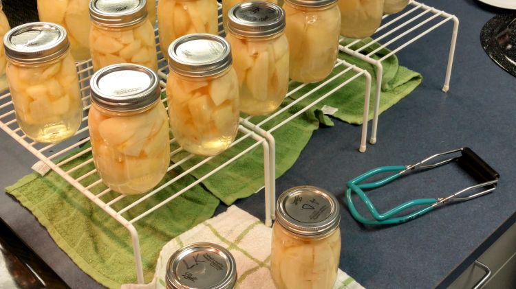 Canned pears.