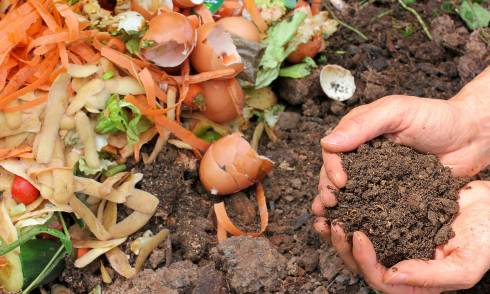 Photo shows a white person's hands holding compost with food scraps and finished compost in the background.