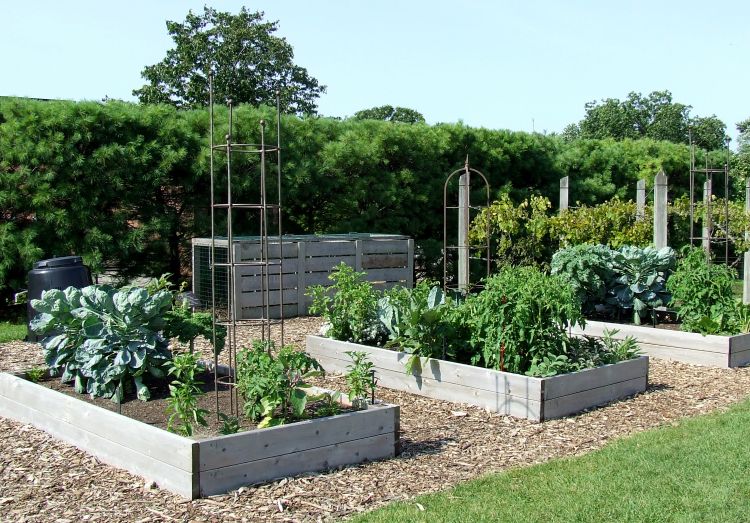 5 Techniques for a More Productive Vegetable Garden