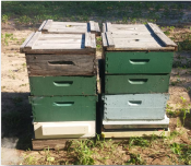 2021 Needs assessment of Michigan small-scale beekeepers