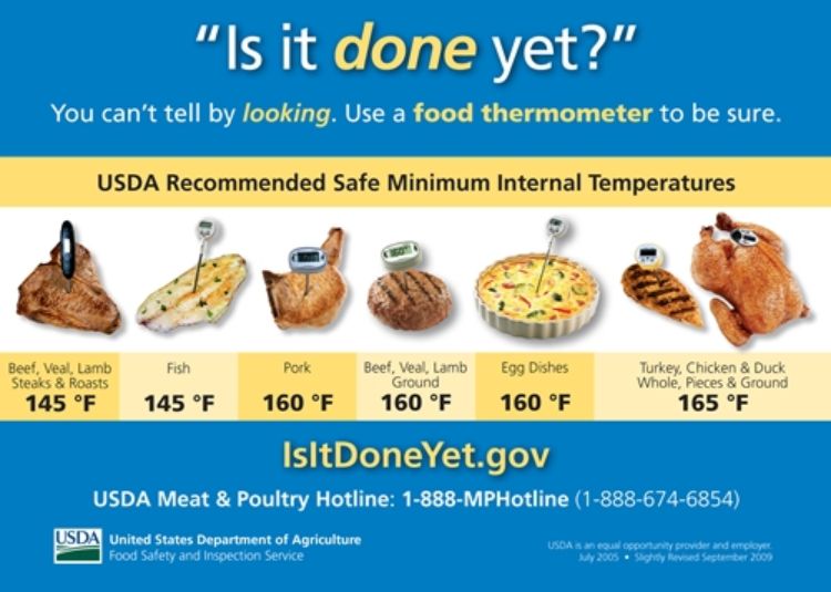 Types of Food Thermometers and How to use Them