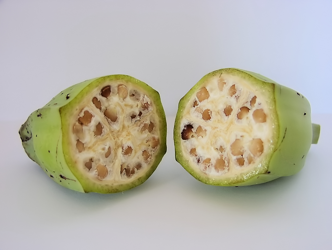 fruits with many seeds