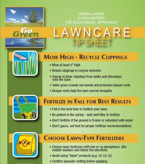 lawn care recommendations