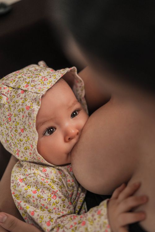 Breasts get ready to breastfeed — Thrive Lactation Center