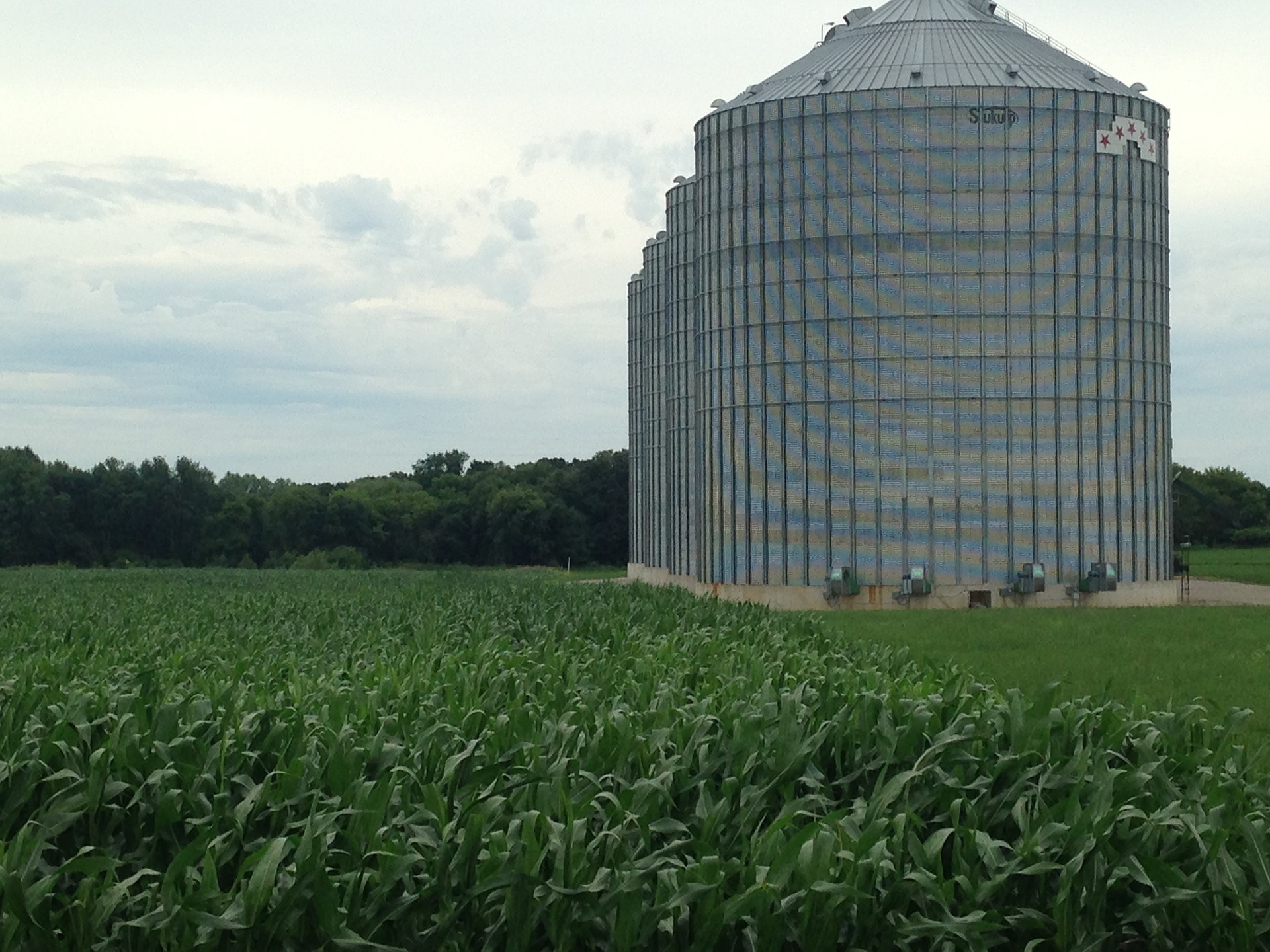 grain silo farm