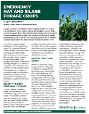Emergency hay and silage forage crops - Forages