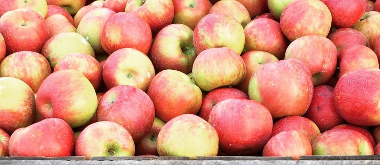 Save on Giant Apples Honeycrisp Order Online Delivery