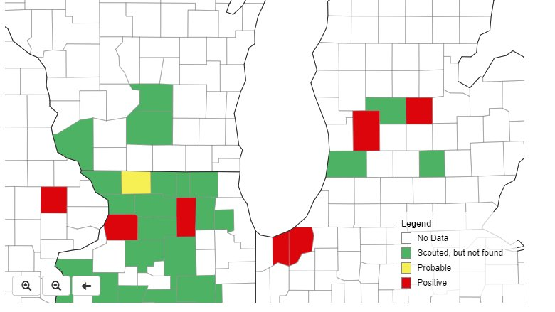 Corn tar spot outlook for 2019 - Corn