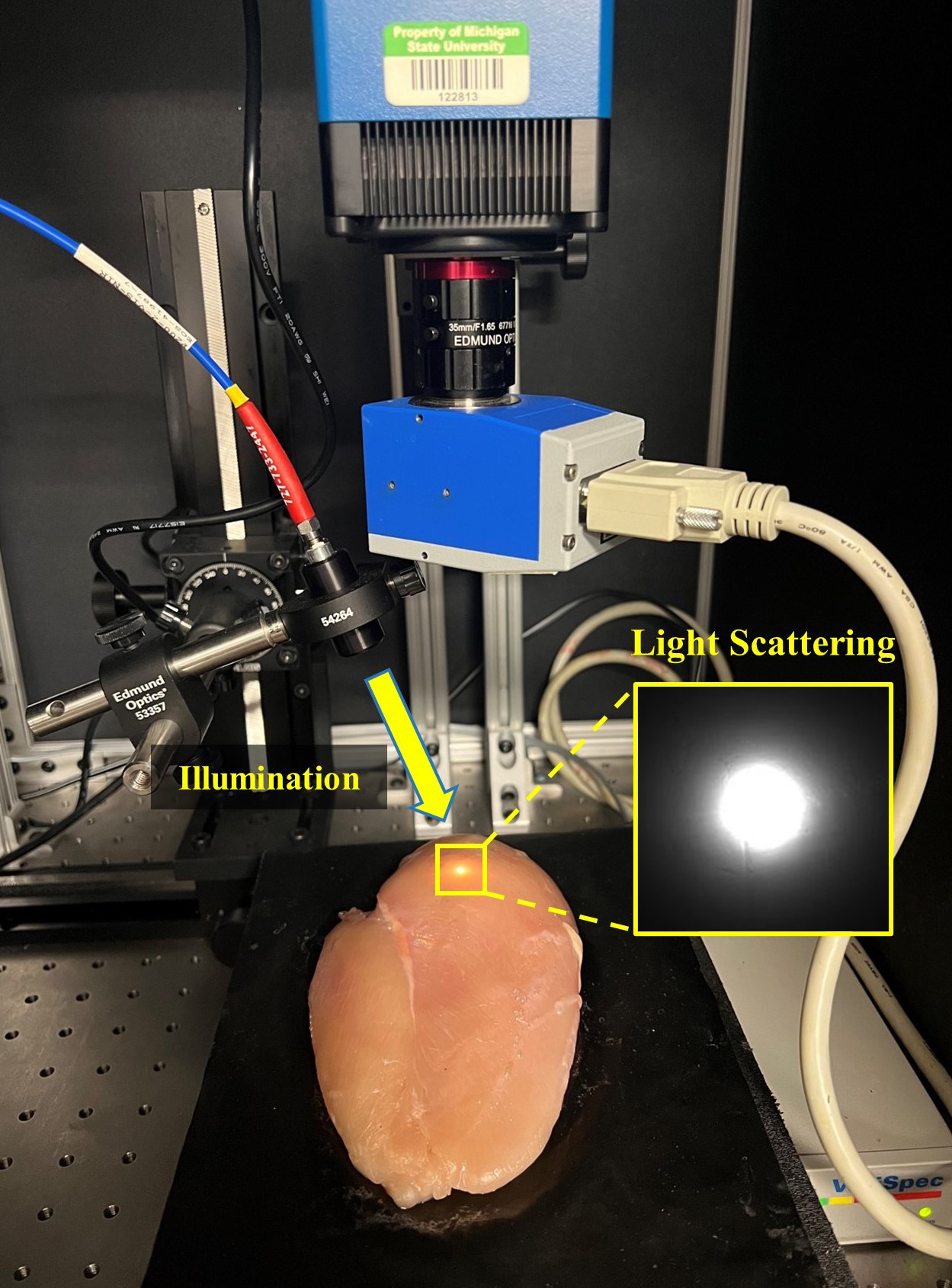 LightScatteringSetup.jpg