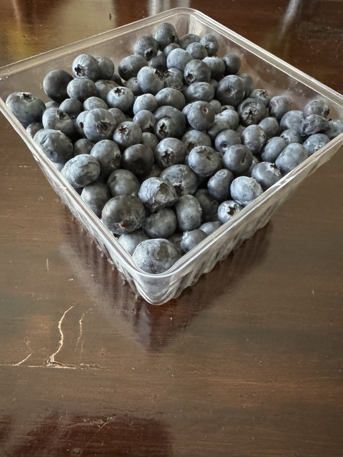 Blueberries_Britton_Kuly18_2024.jpg