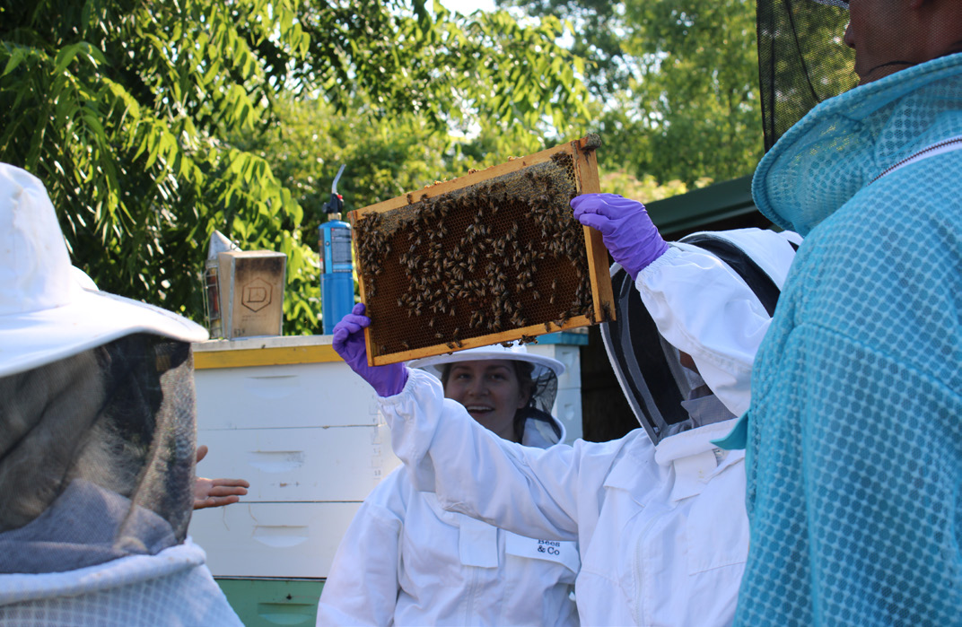 Beekeepers Club — Students — Penn State College of Agricultural