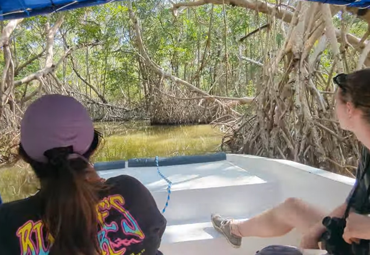 Mangrove.boat.ride.jpg