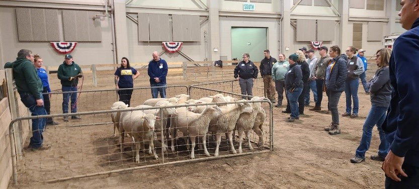 Training Livestock to Electric Fences - Cooperative Extension: Livestock -  University of Maine Cooperative Extension