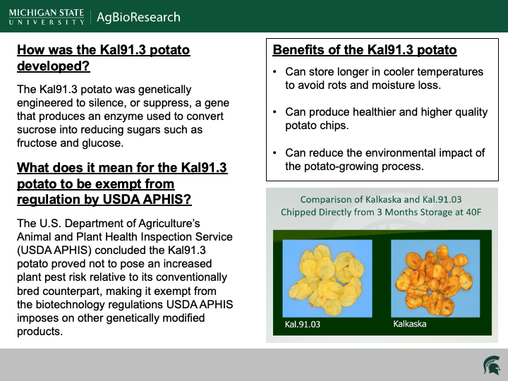 Kal91_3 Infographic.png potato