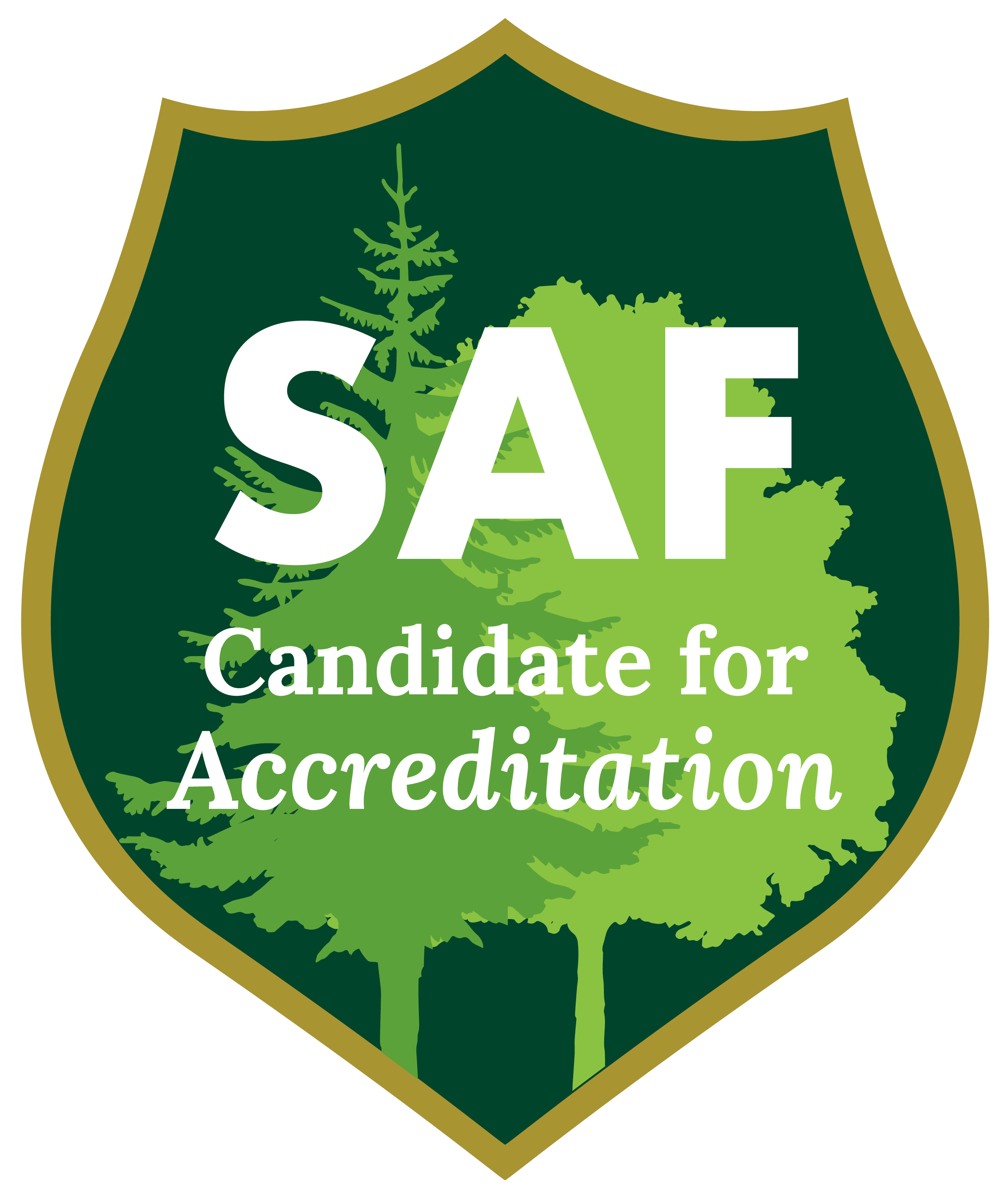 Accredited_candidate_SAF-web.png