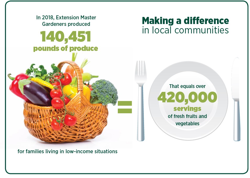 Infographic showing that in 2018, Extension Master Gardeners produced 140,451 pounds of produce for families living in low-income situations. On the left side, there is a basket filled with colorful vegetables including tomatoes, peppers, eggplant, and broccoli. An equal sign points to the right, where a plate is set between a fork and knife. Inside the plate, it states that this amount of produce equals over 420,000 servings of fresh fruits and vegetables. The headline reads “Making a difference in local communities.”