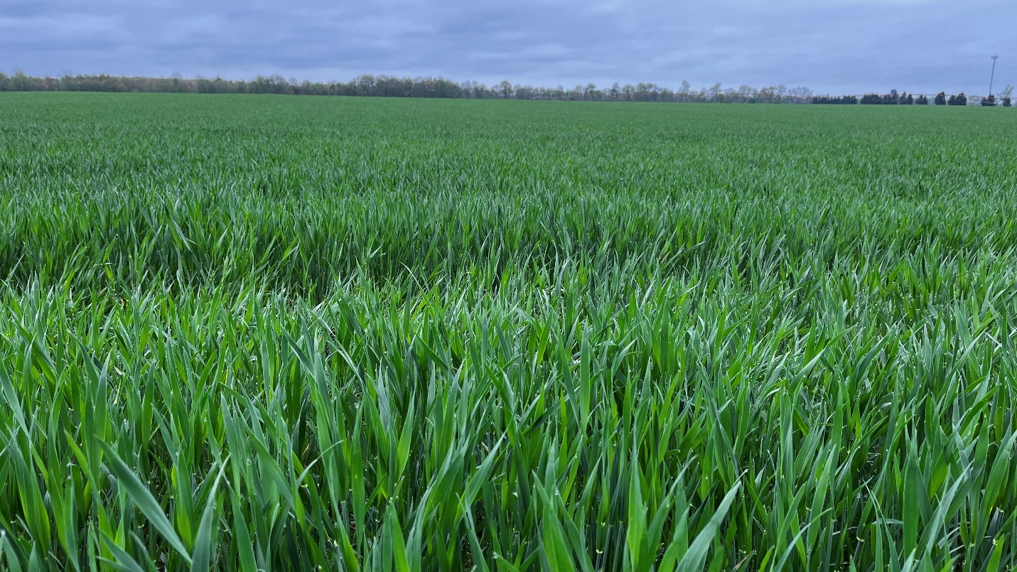 2023 Update: Field Crop Development Centre