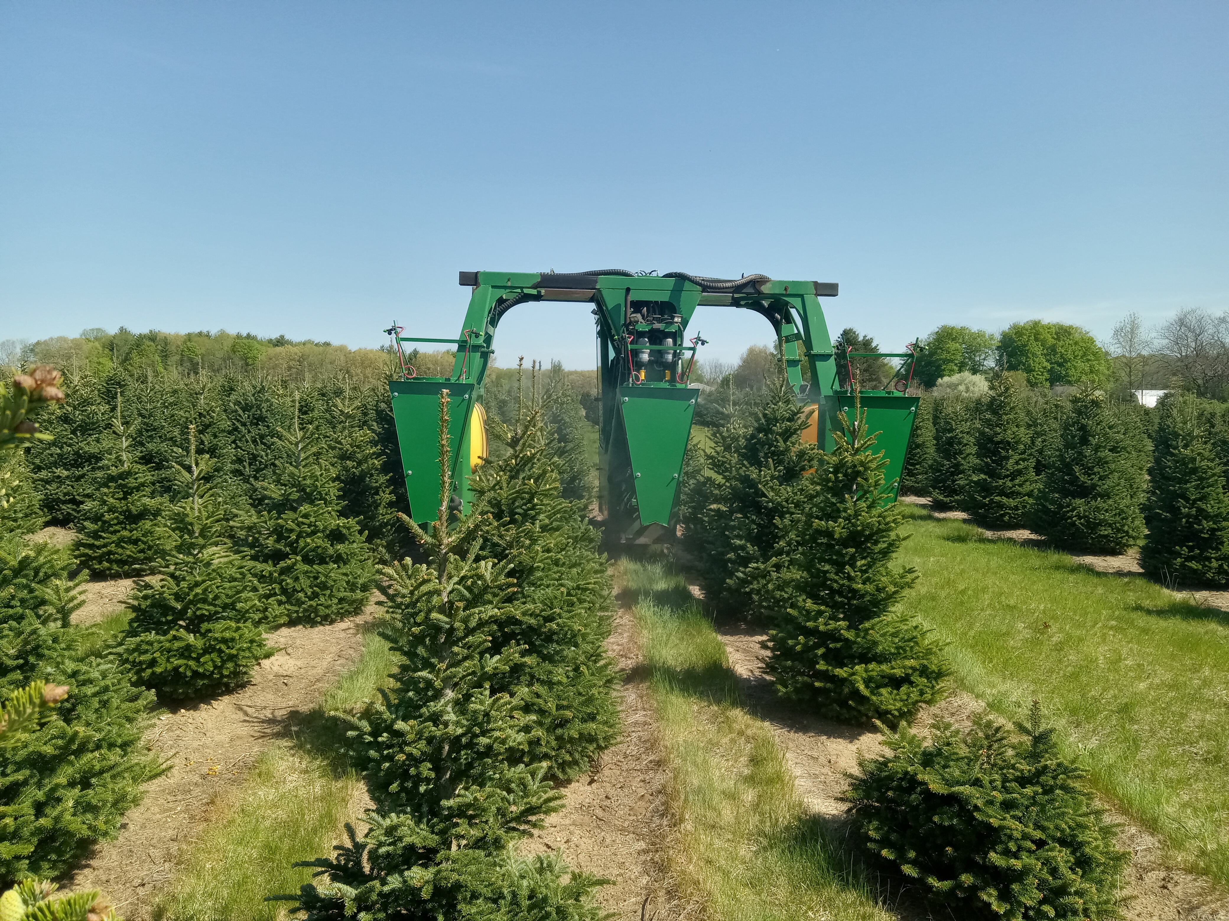 #18 MSU spraying fir trees.jpg