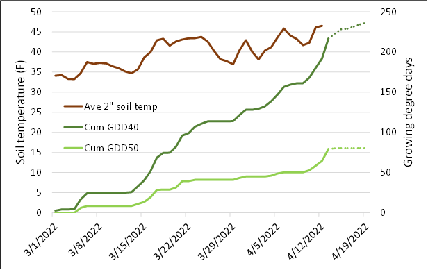 Soil temperatues graph.