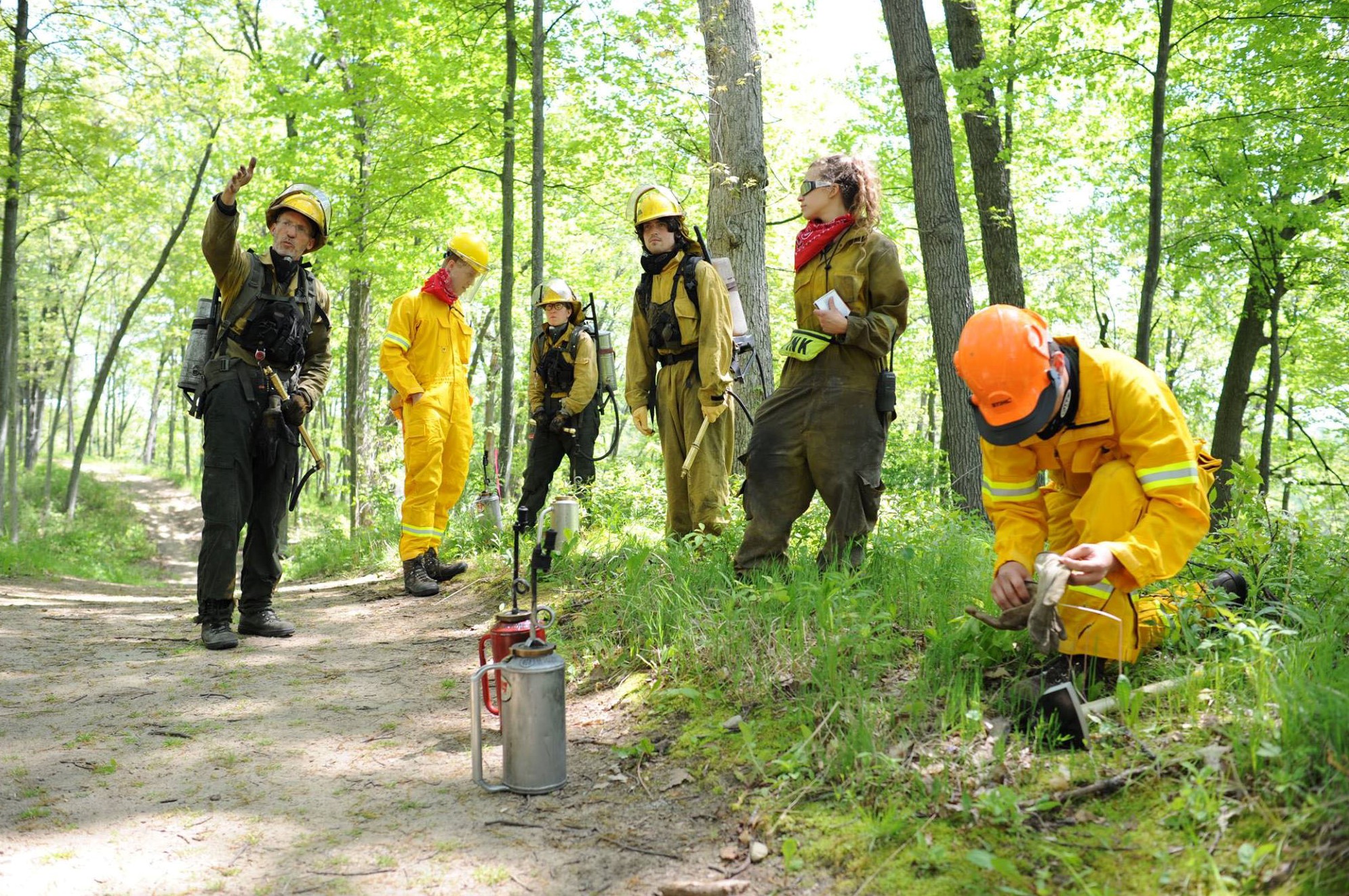 forestry-careers-department-of-forestry