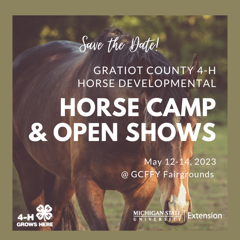 Horse Camp and Open Shows - Gratiot County