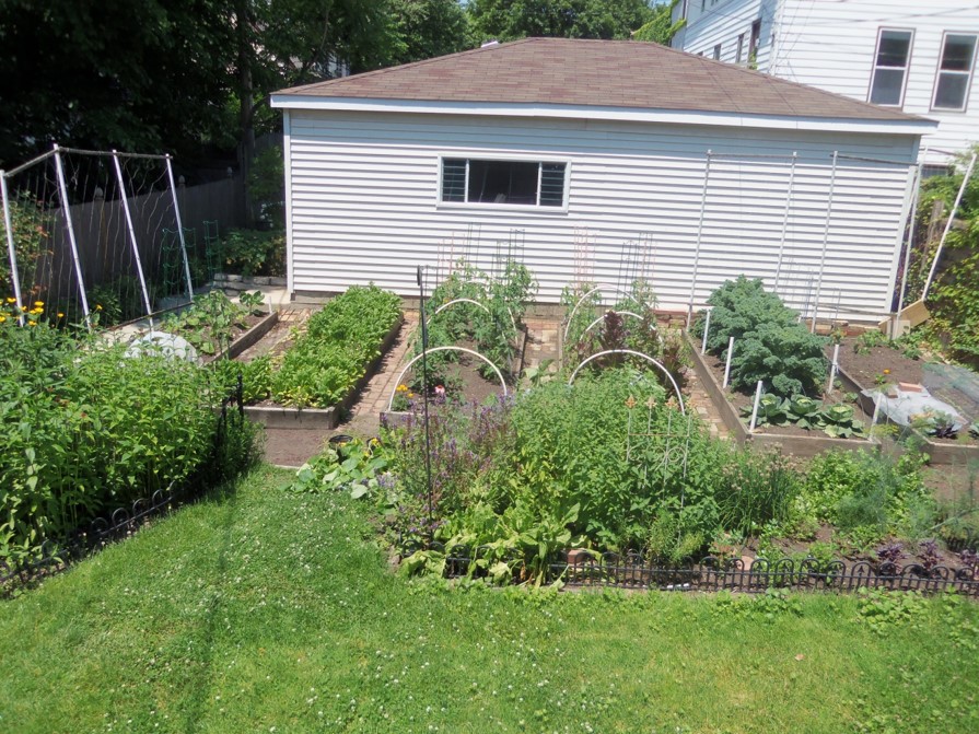 Starting a raised bed garden - Gardening in Michigan