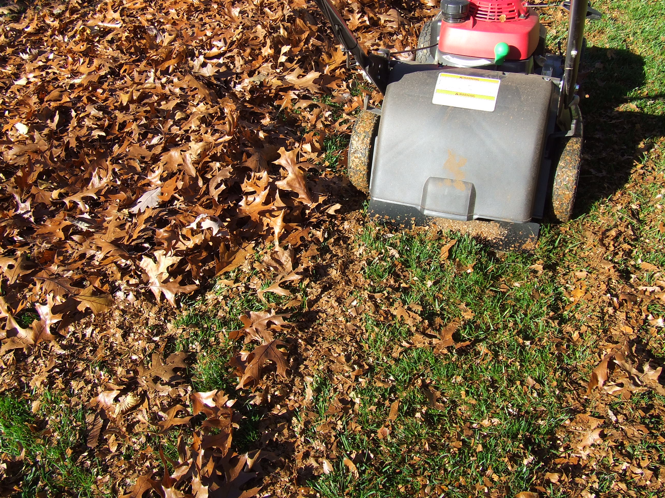 Leaf and Lawn chute to Rake and Fill Bags In One Step with Less