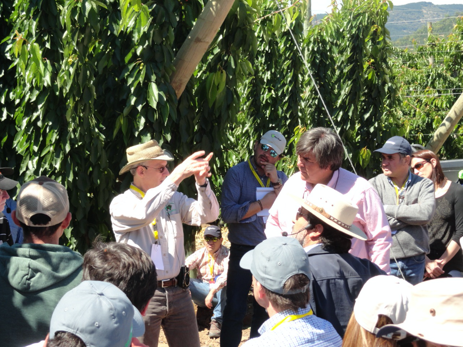 Dr. Lang discussing pruning methods