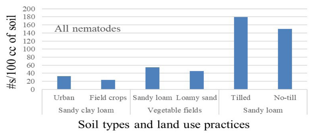 Nematodes and Their Impact on Soil Health