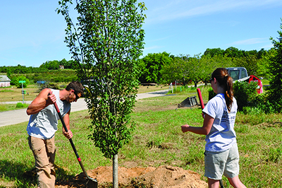 Landscape management deals